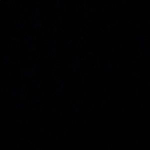 Meet your Posher, Cloey